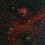 Aster